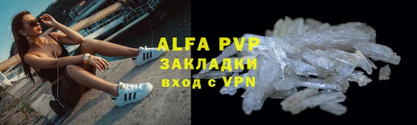 спиды Михайлов