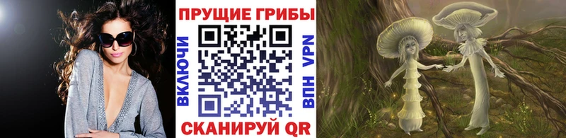 Псилоцибиновые грибы Cubensis  Купить закладки  Кузнецк 
